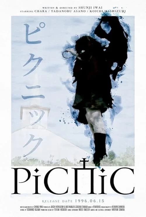 Picnic film posteri