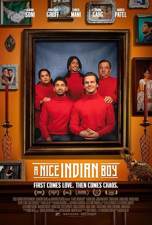 A Nice Indian Boy film posteri